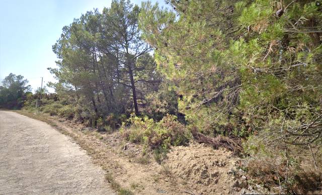 Terreno residencial en Venta en Carrer de la Riera, 283 en Querol