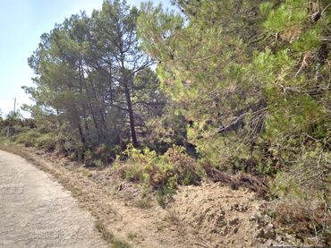 Terrain résidentiel à vendre à Carrer de la Riera 283