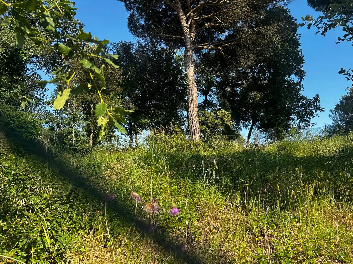 Residential land for sale in Residencial Park