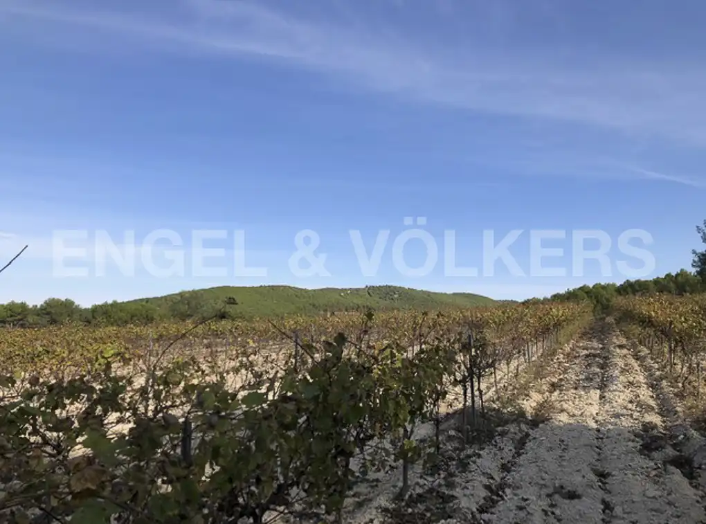 Terreny residencial en venda a Avinyonet del Penedès, imagen 21