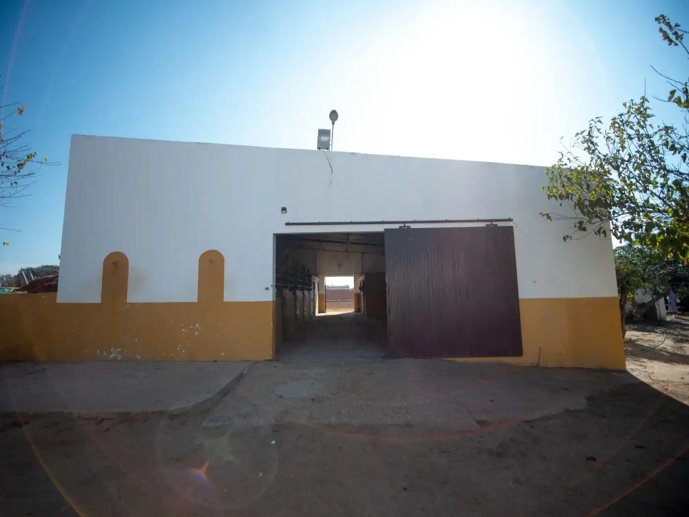 Vista exterior de Finca rústica en venta en Chipiona con Jardín privado y Terraza