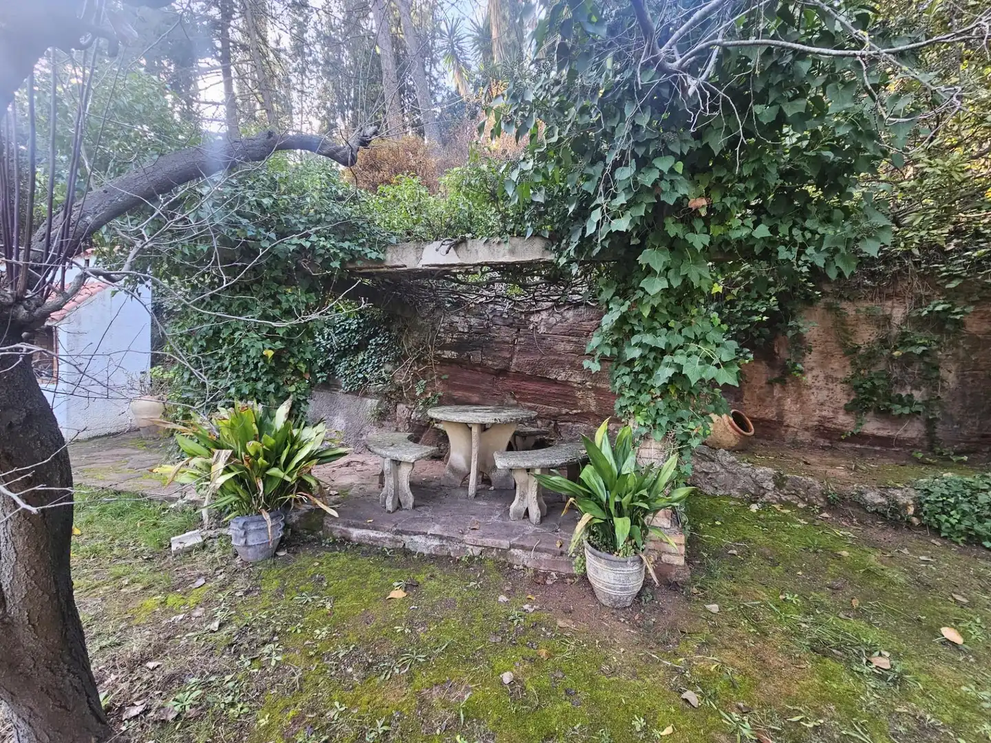 Jardín de Finca rústica en venta en Castellví de Rosanes