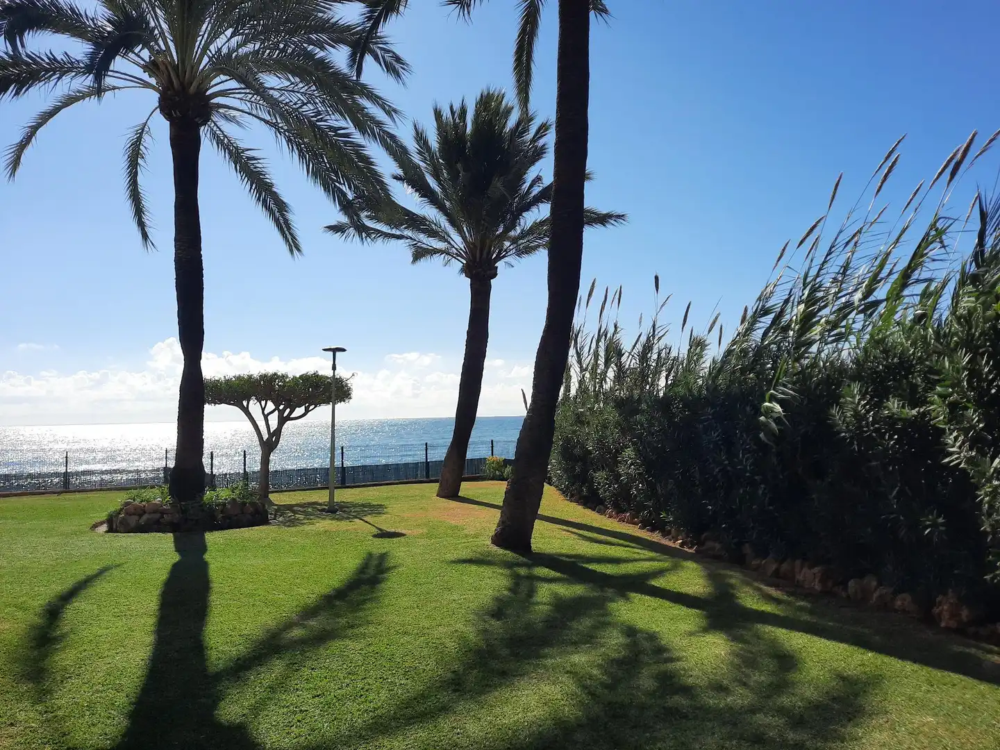 Apartament amb piscina en venda a Seghers, imagen 17