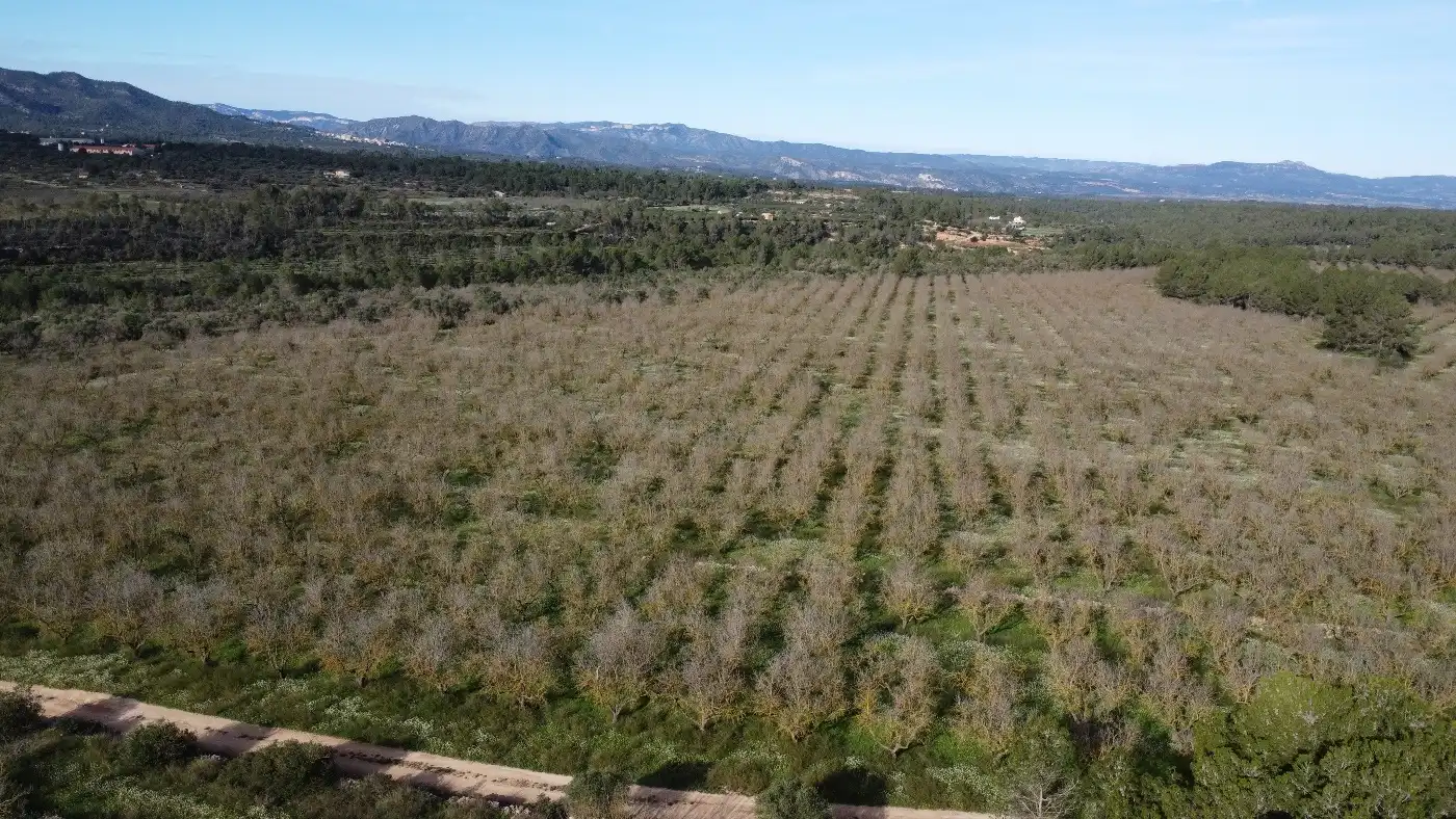 Terreno en venta en Tivissa