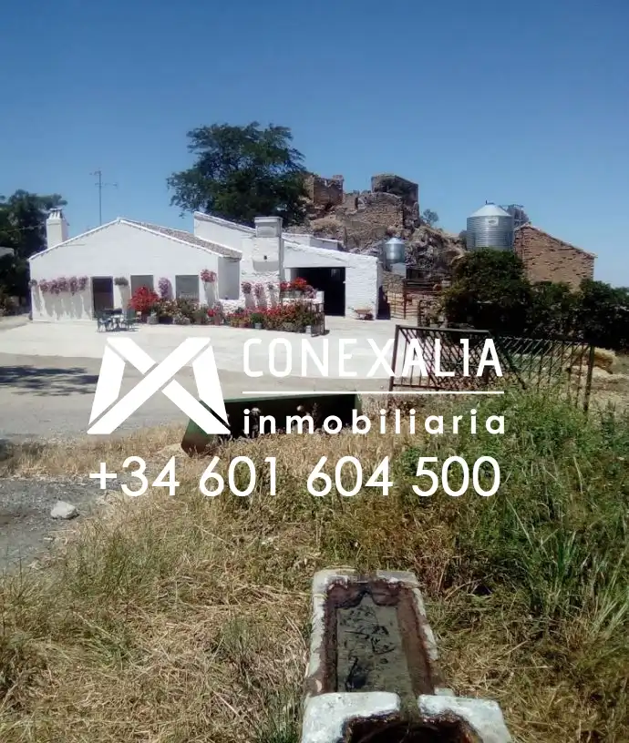 Casa rústica en venda a Olvera, imagen 8