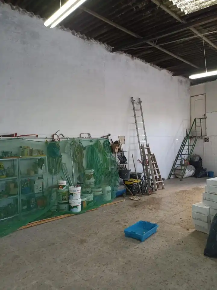 Industrial buildings for sale in Bonanza - Avda de Huelva - Barrio Andalucia