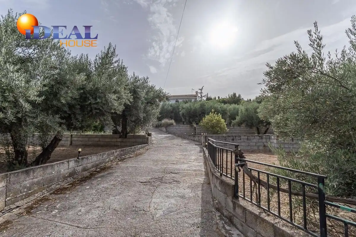 Xalet amb piscina en venda a Aljomahima - Ermita, imagen 49