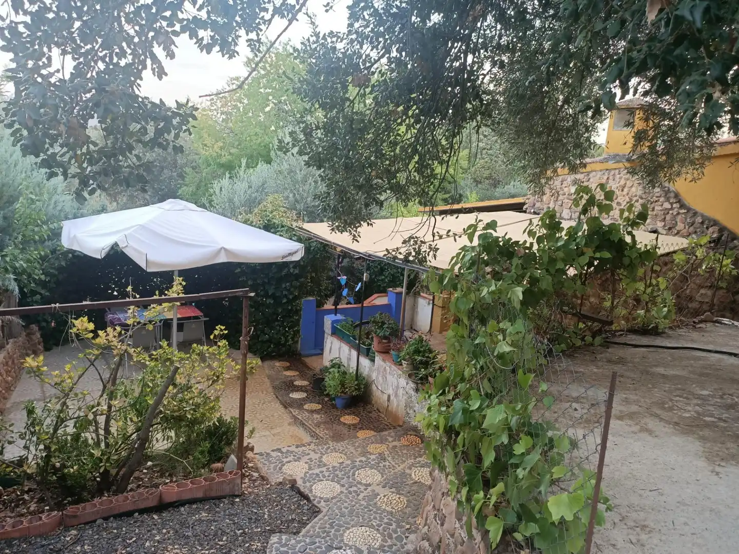 Jardí de Casa o xalet en venda en Piedrabuena amb Aire condicionat, Calefacció i Jardí privat