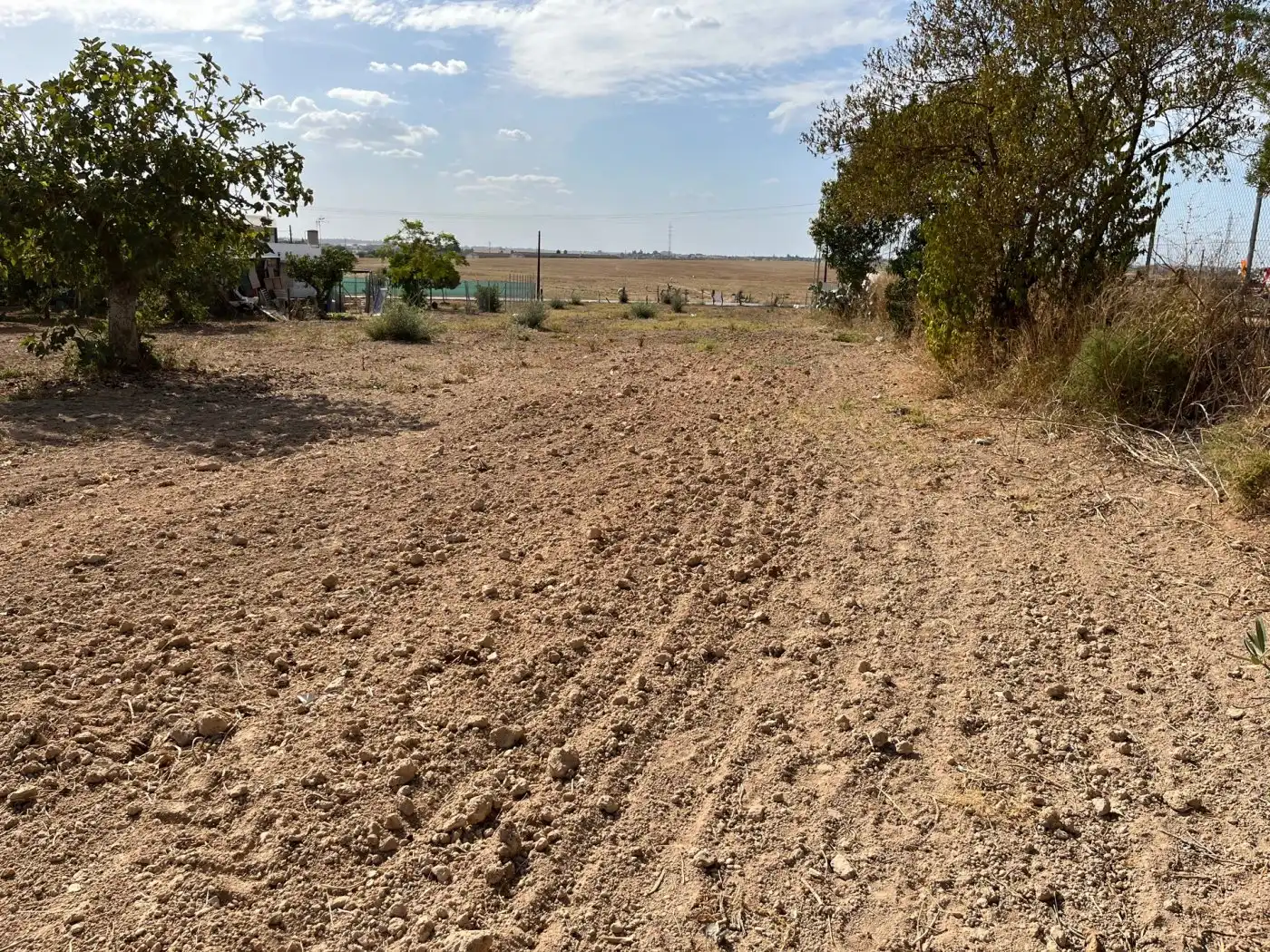 Rustikales Grundstück zum Verkauf in Palomares del Río, imagen 3