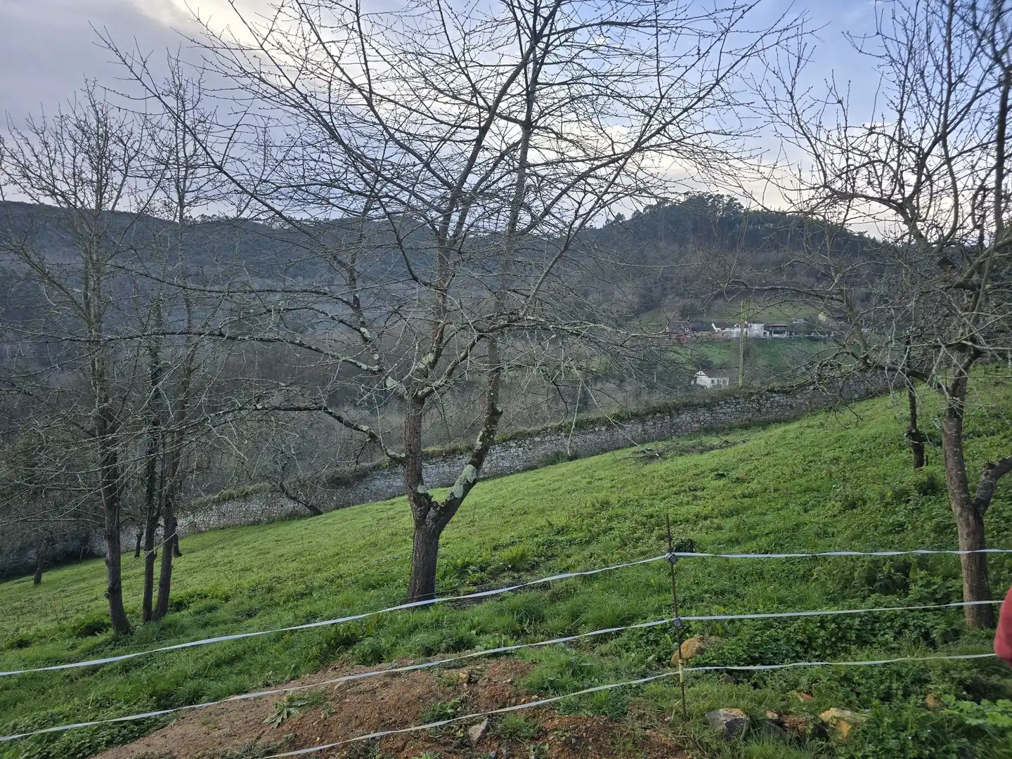 Finca rústica en venta en Parroquias Norte - Naranco