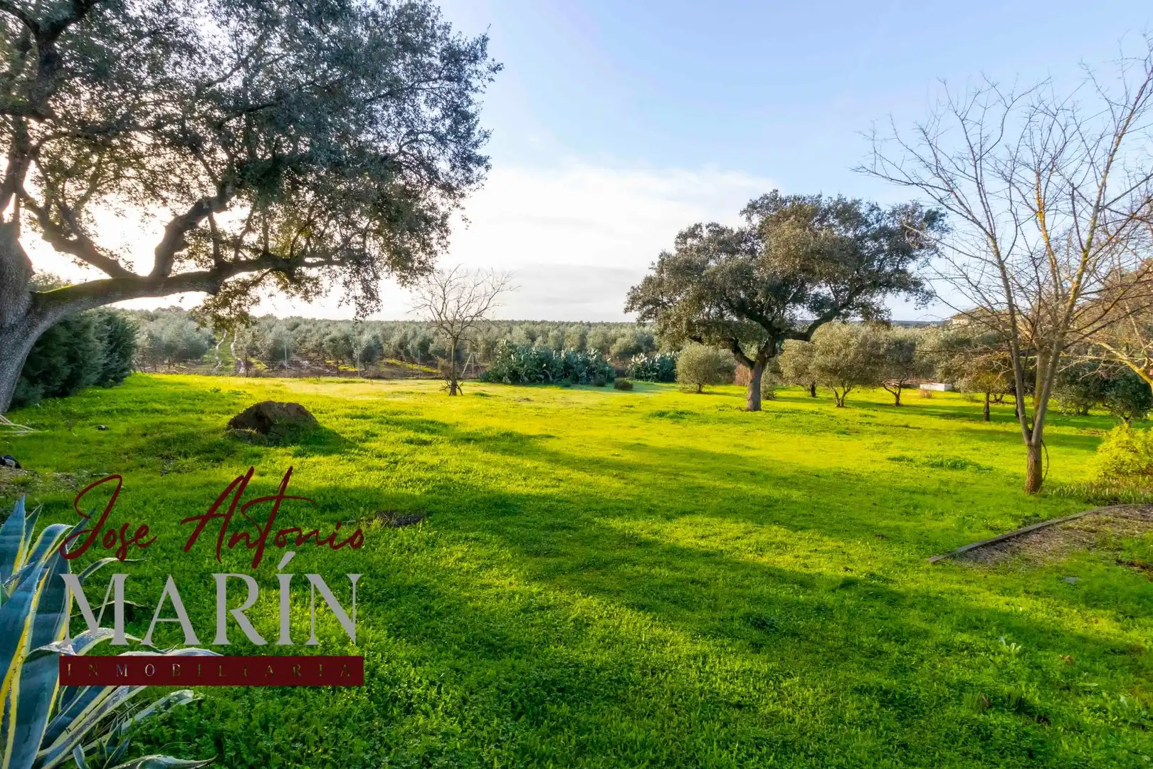 Garten von Country house zum Verkauf in Badajoz mit Privatgarten, Abstellraum und Schwimmbad