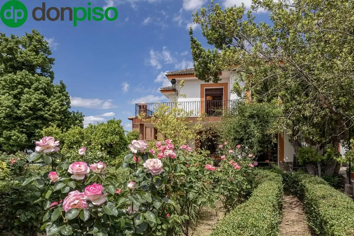Detached house with pool for sale in Calle del Albaricoque 3, imagen 33