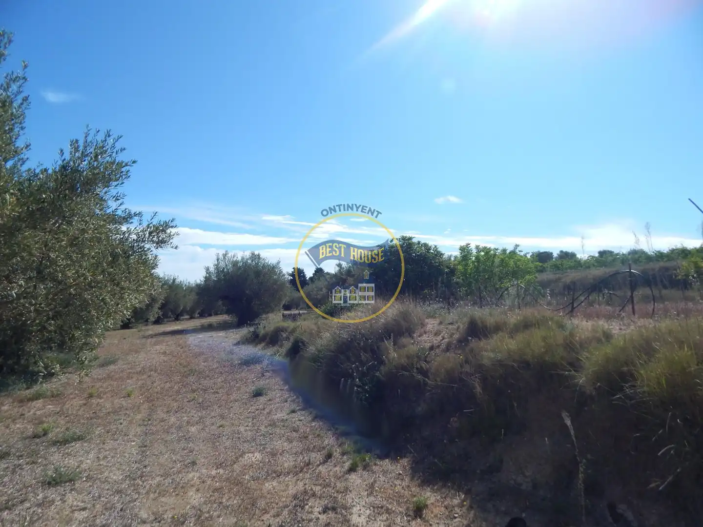 Terreny rústic en venda a Agullent, imagen 12
