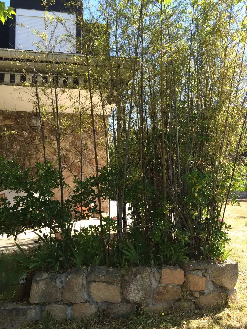 Casa amb piscina en venda a Colmenarejo, imagen 61