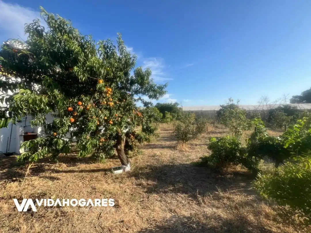 Houses for sale in Chipiona  with Air Conditioner, Terrace and Furnished