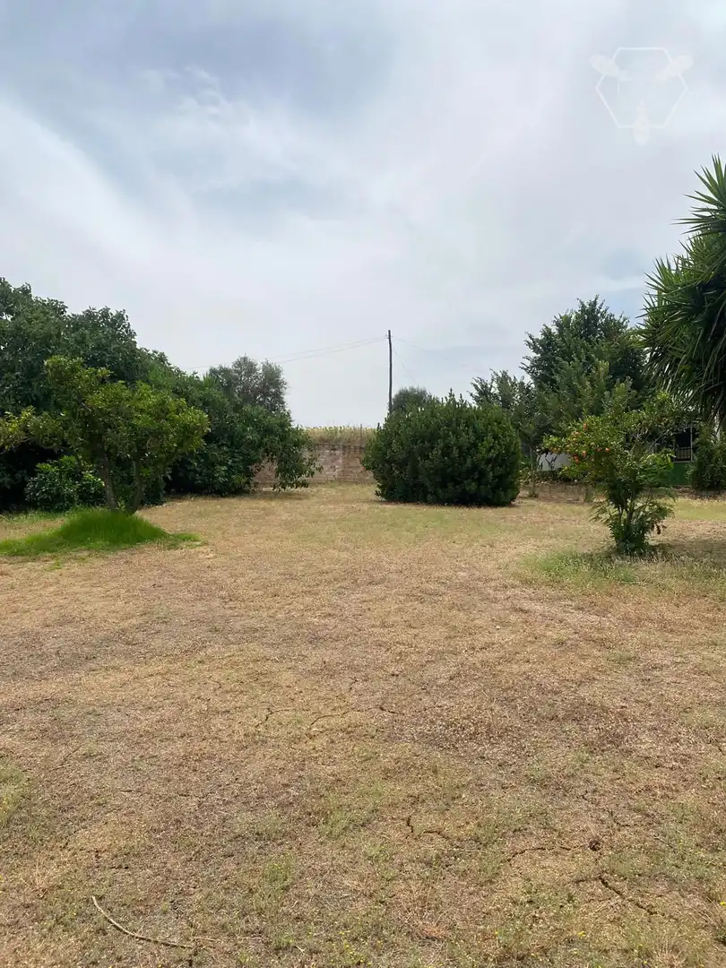 Casa o chalet en venta en Gibraleón