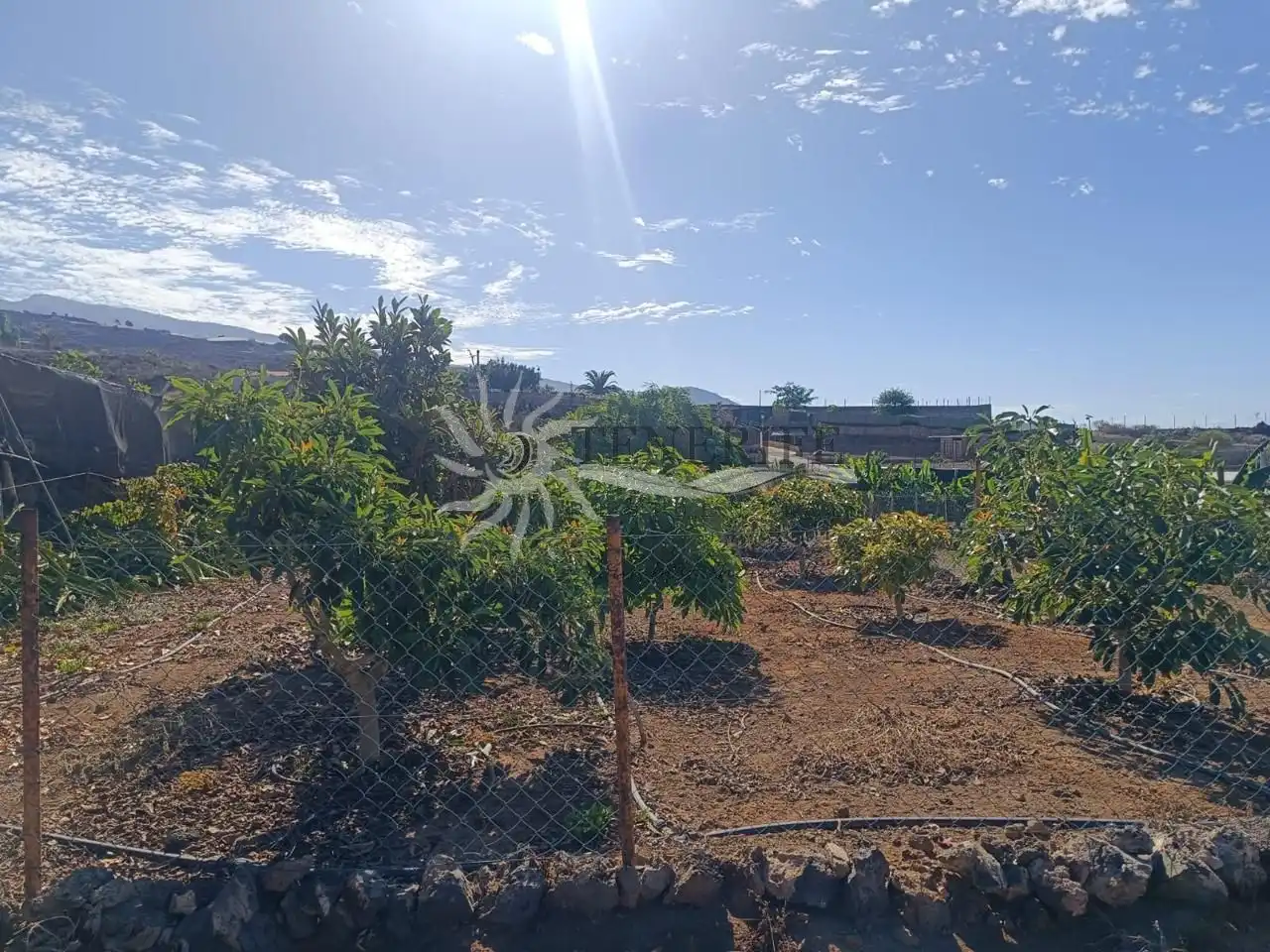 Maison avec piscine à vendre à pino, imagen 52