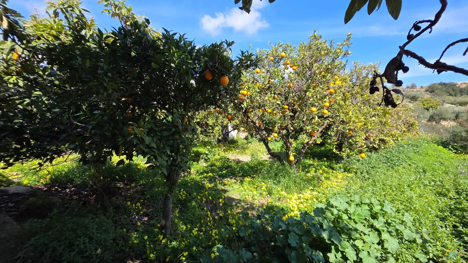 Finca rústica en venda en Canjáyar amb Moblat