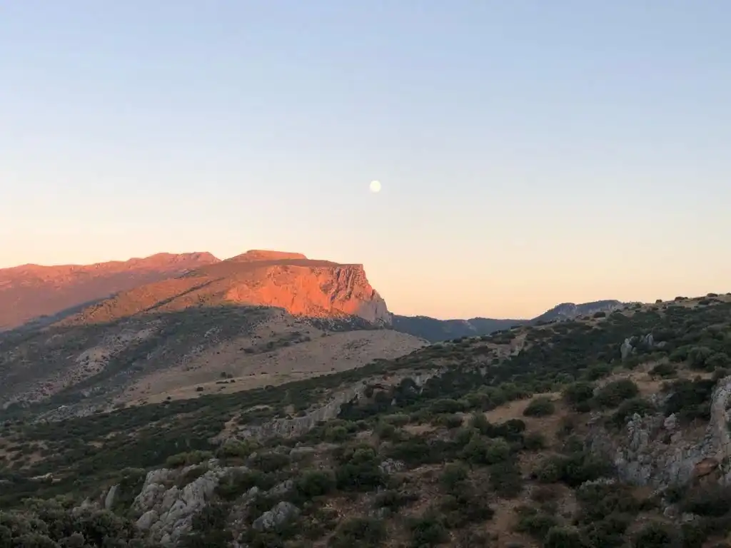 Vista exterior de Terreno en venta en Jaén