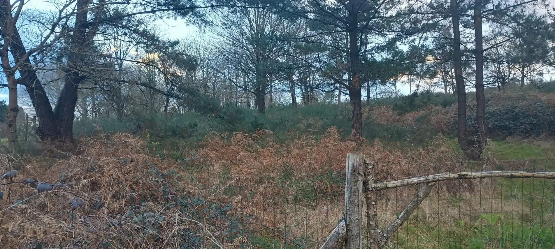 Terrenys i solars en venda a Posada de Llanera, imagen 6