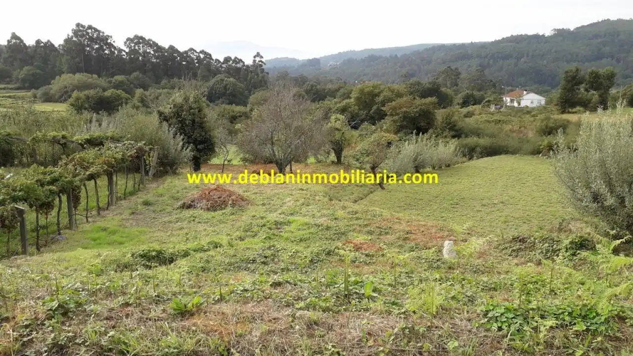 Terreno rústico en venta en Tui