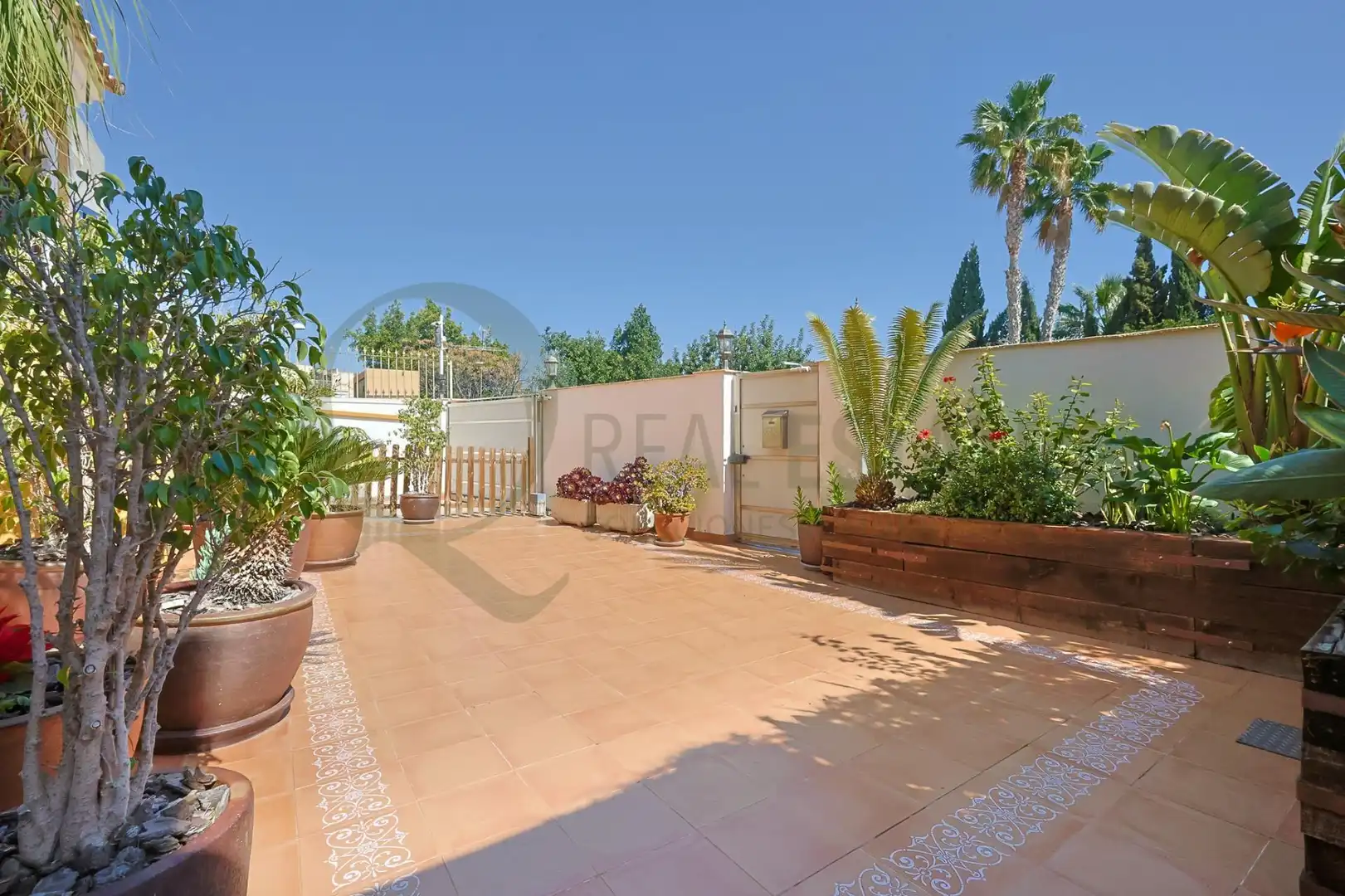Villa con terrazza in vendita a Avenida CONRADO ALBALADEJO, imagen 56