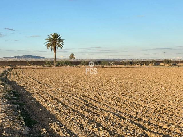 Terreno en Venta en Calle Carretera Pareton, S/N en Totana