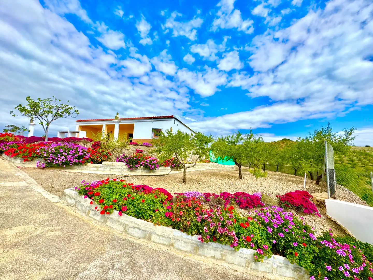 Exterior view of Country homes for sale in Albondón  with Private garden, Terrace and Storage room