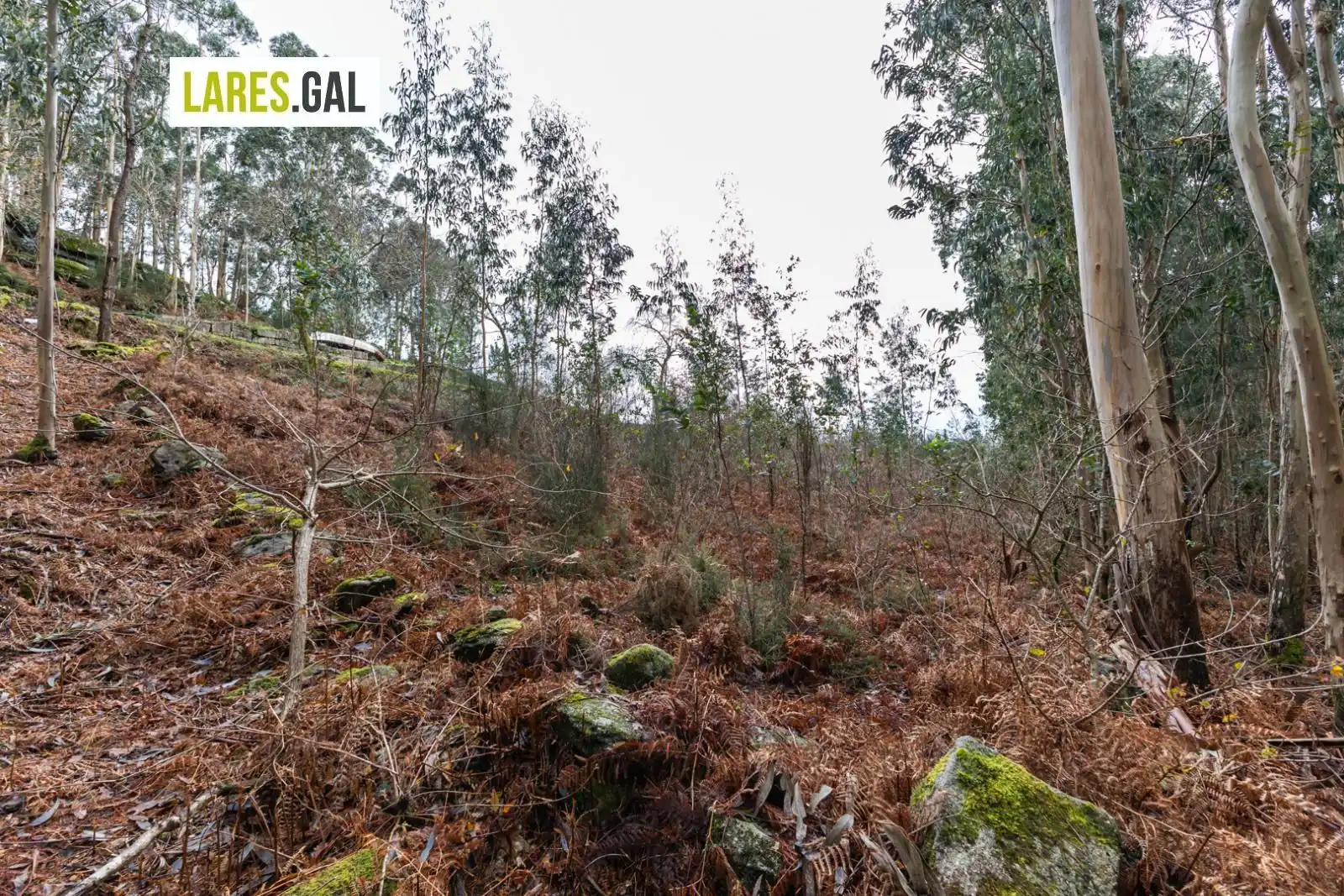 Grundstücke zum Verkauf in Cangas 