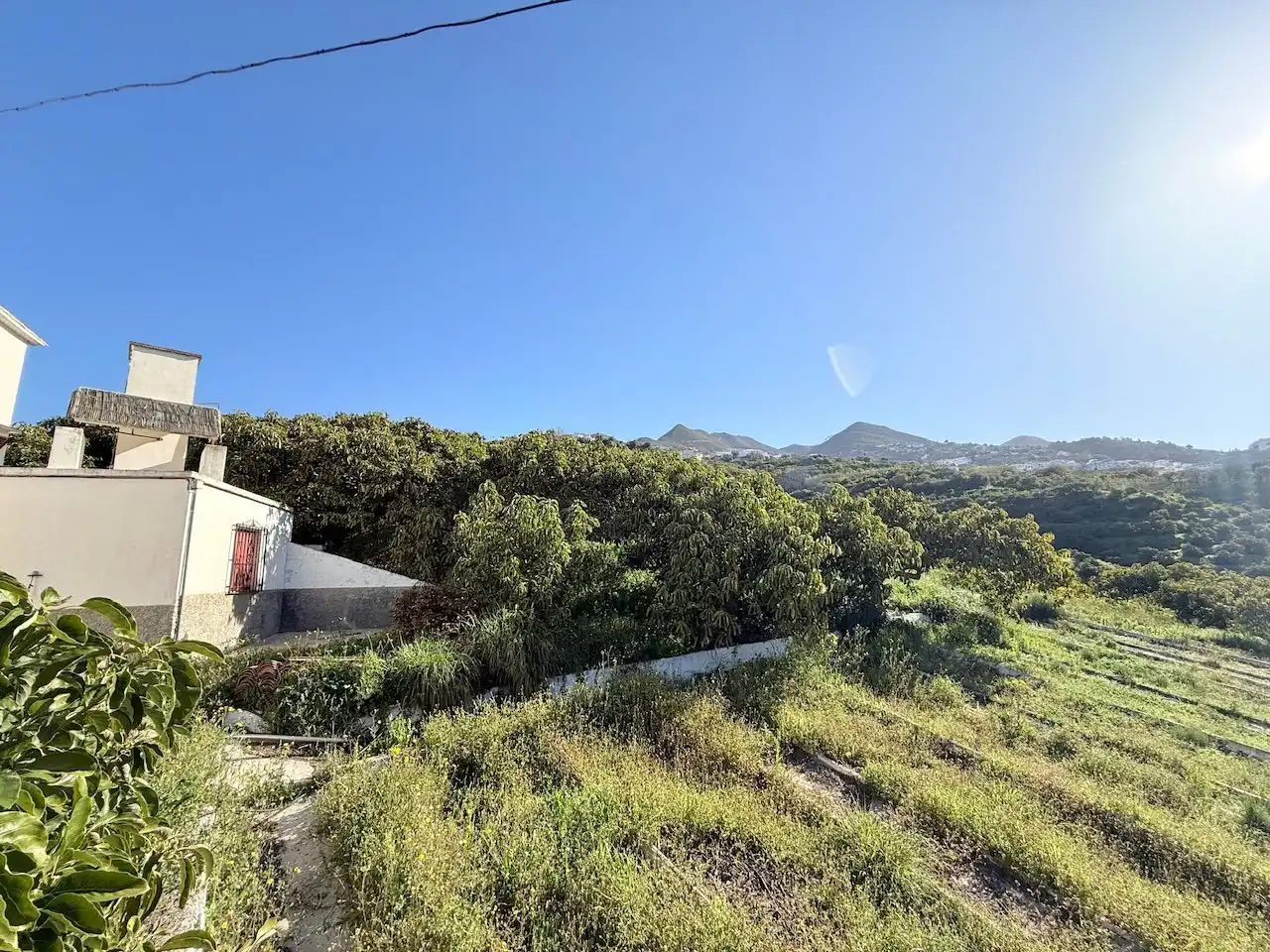 Land for sale in Canillas de Albaida