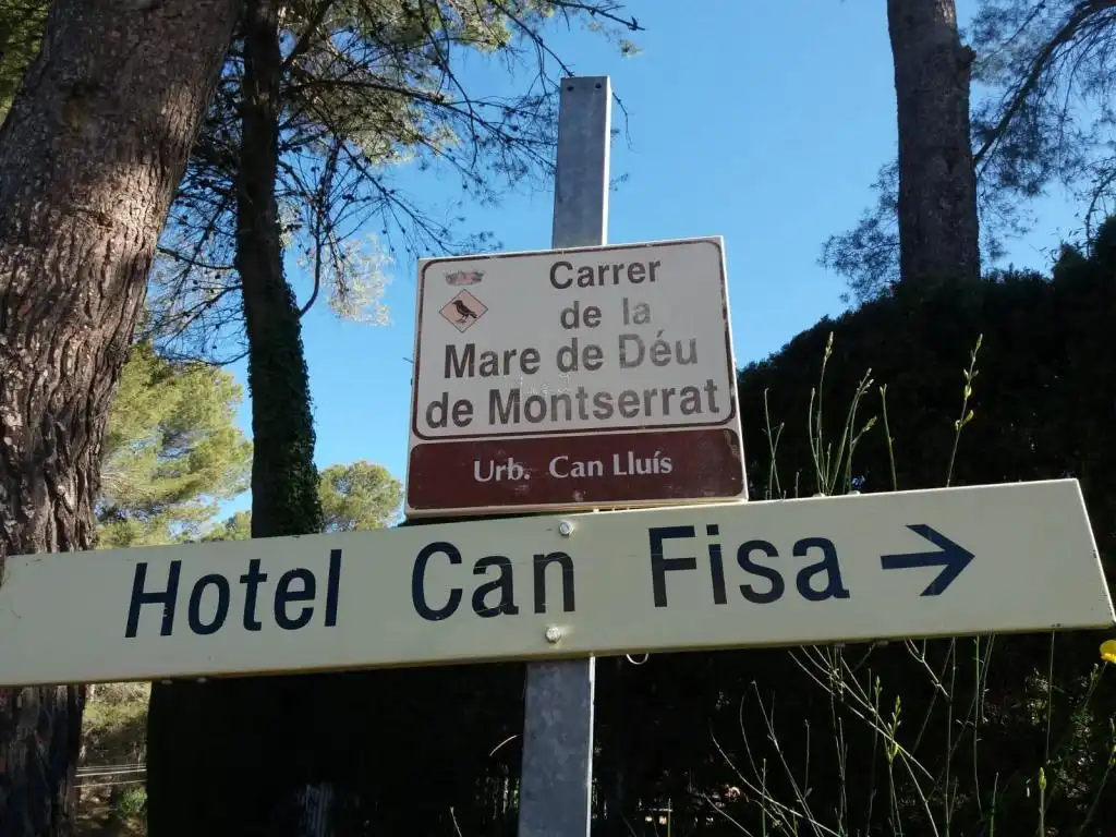 Terreny rústic en venda a MARE DE DEU DE MONTSERRAT, imagen 14
