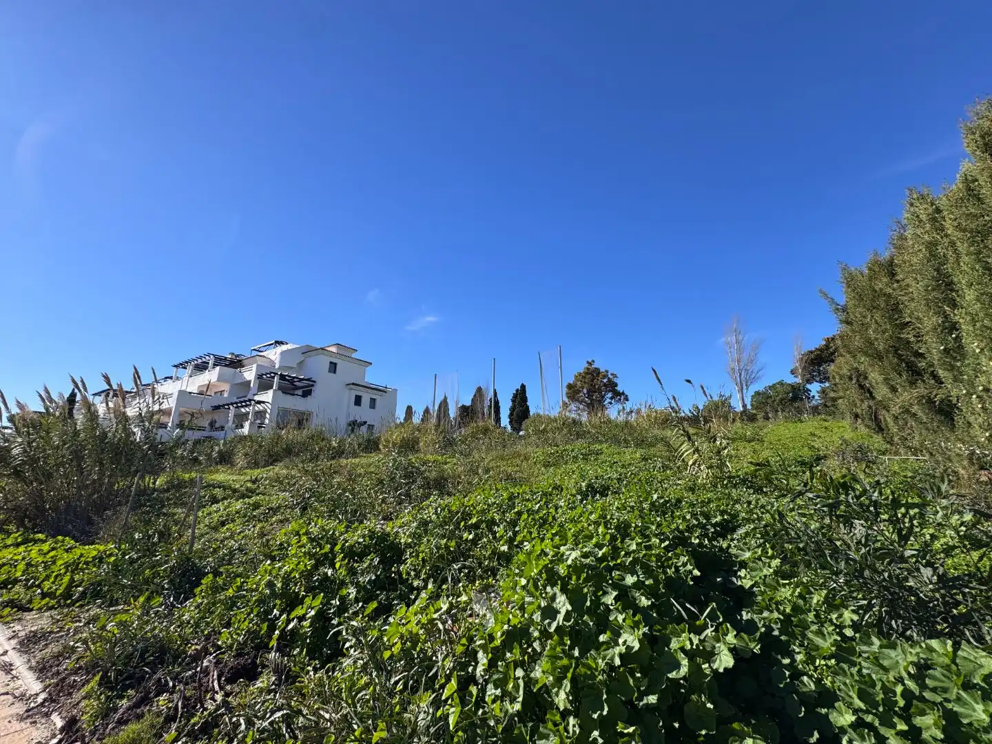 Grundstücke zum Verkauf in Casares