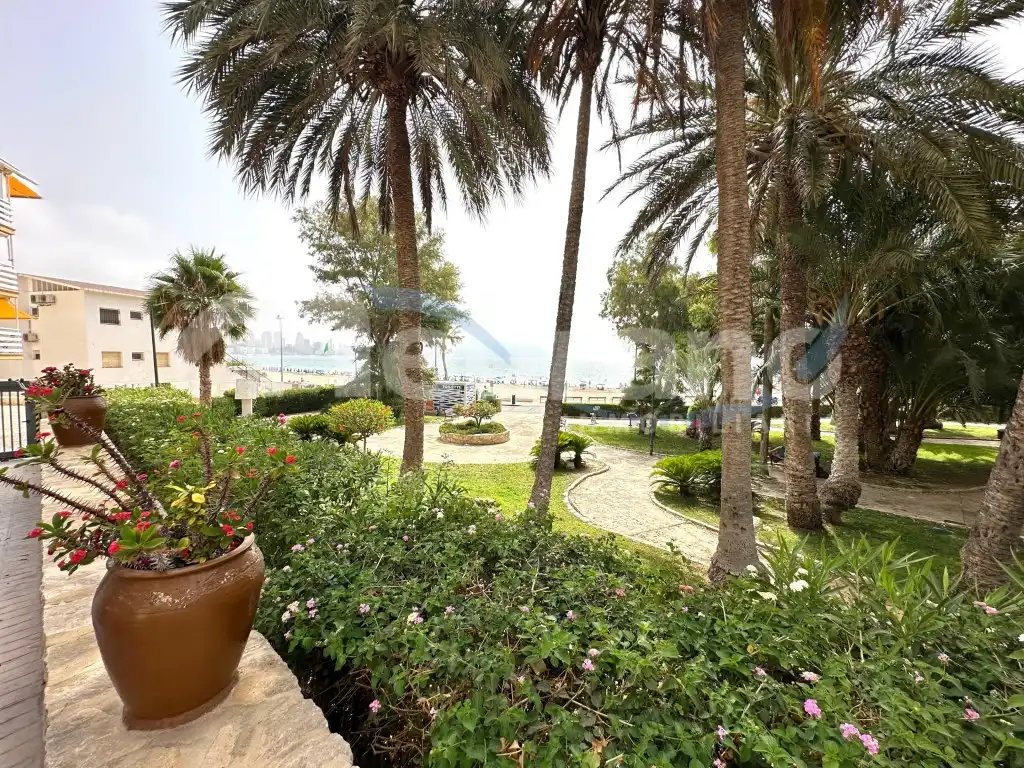 Pis amb jardí en venda a Avenida Vicente Llorca Alos