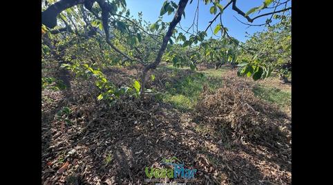 Photo 5 of Residential for sale in Itrabo, Almuñecar Centro, Granada