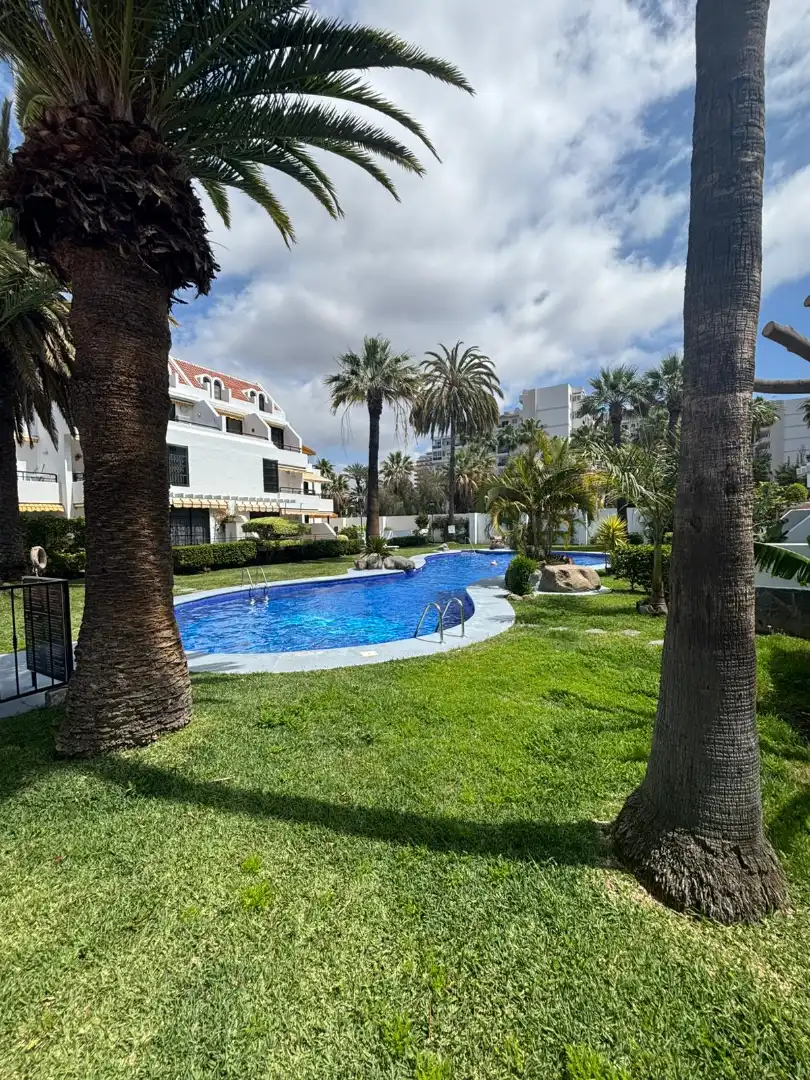 Apartamento con piscina en venta en Avenida Santiago Puig, imagen 22