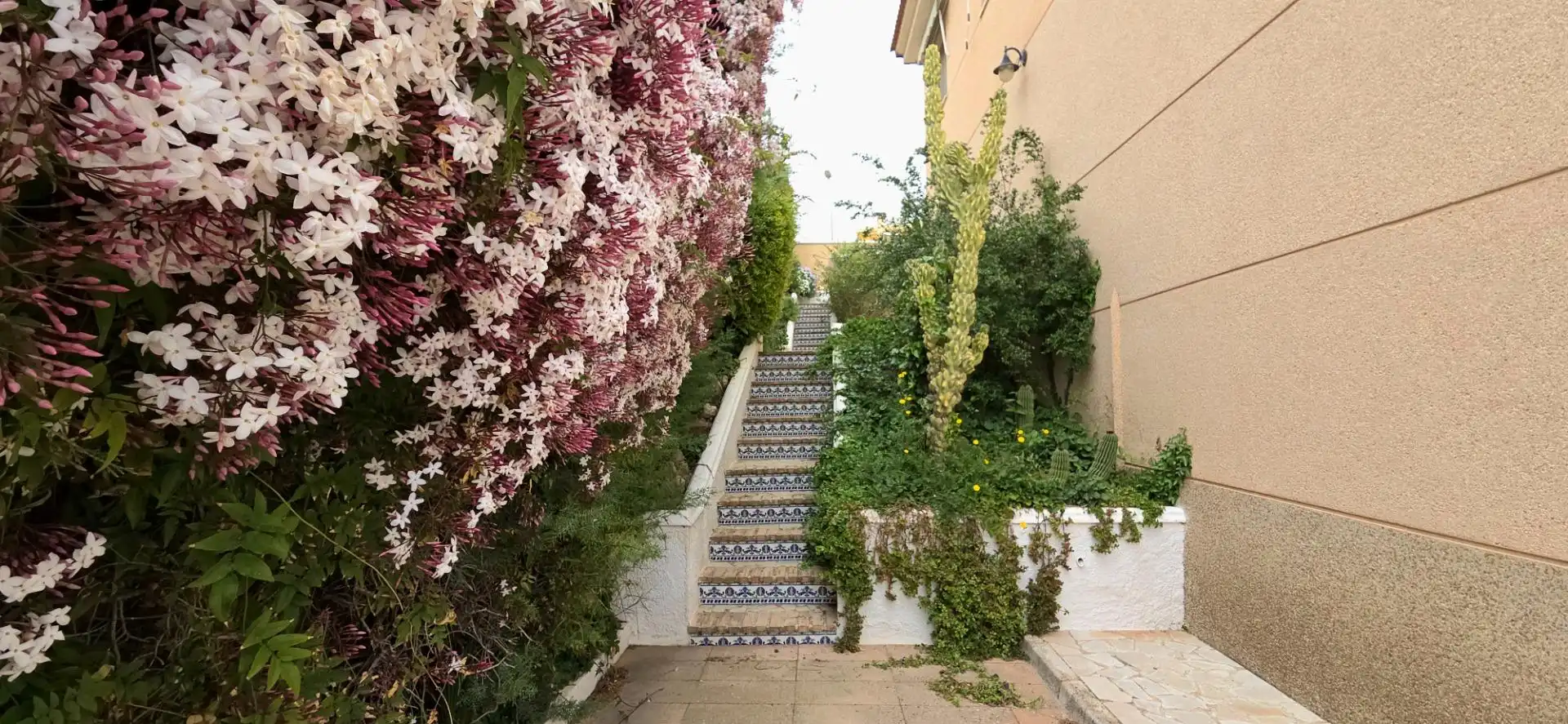 Chalet con terraza en venta en Caravaca de la Cruz, imagen 73