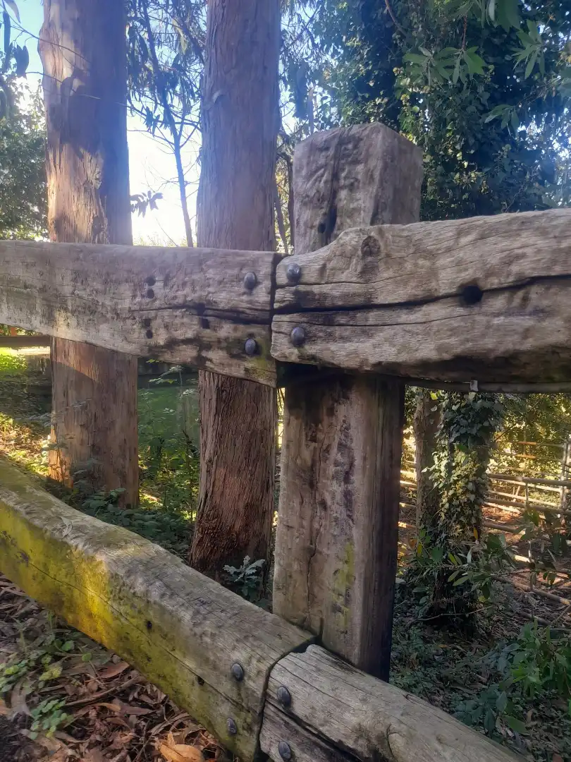 Jardí de Casa o xalet en venda en Villacarriedo amb Calefacció i Moblat