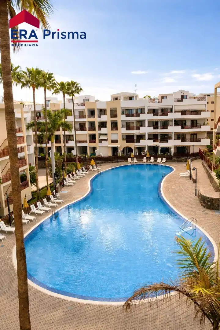 Piscina de Dúplex en venda en Arona amb Jardí privat, Terrassa i Traster