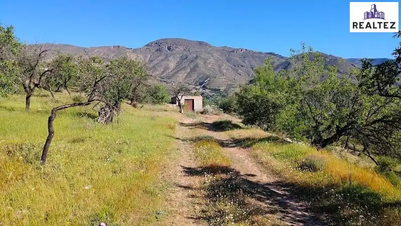 Rural land for sale in Felix, imagen 22