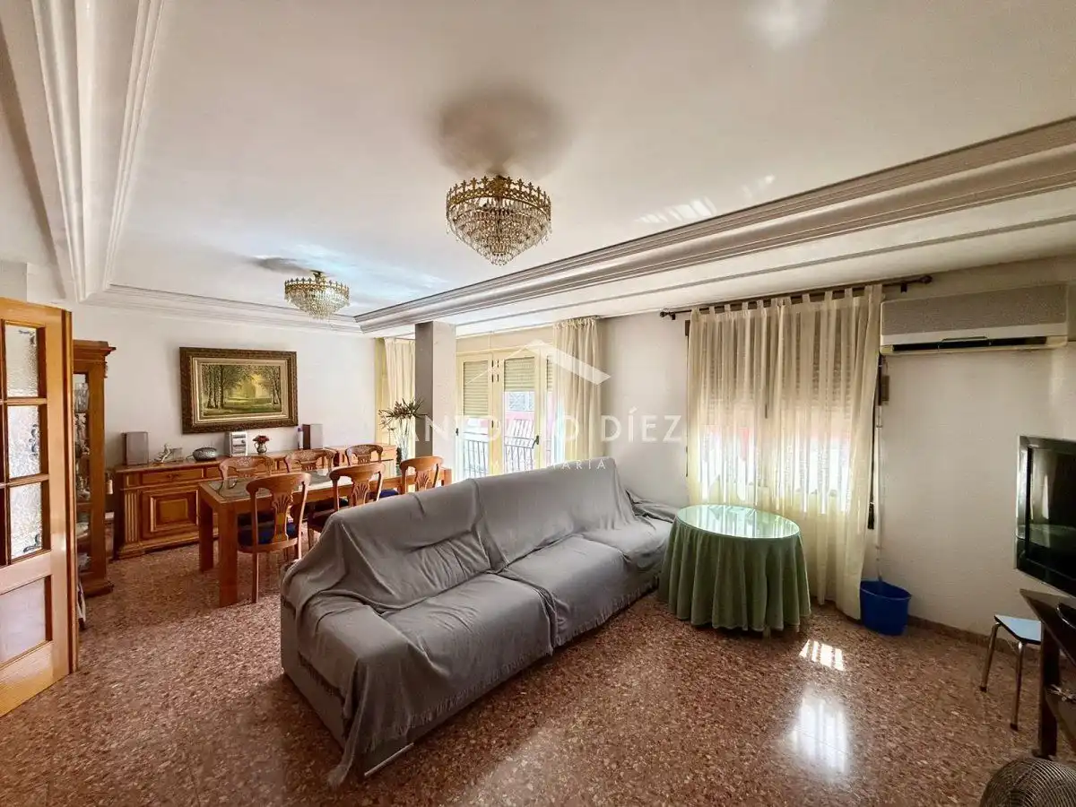 Living room of Flat for sale in Aspe  with Air Conditioner