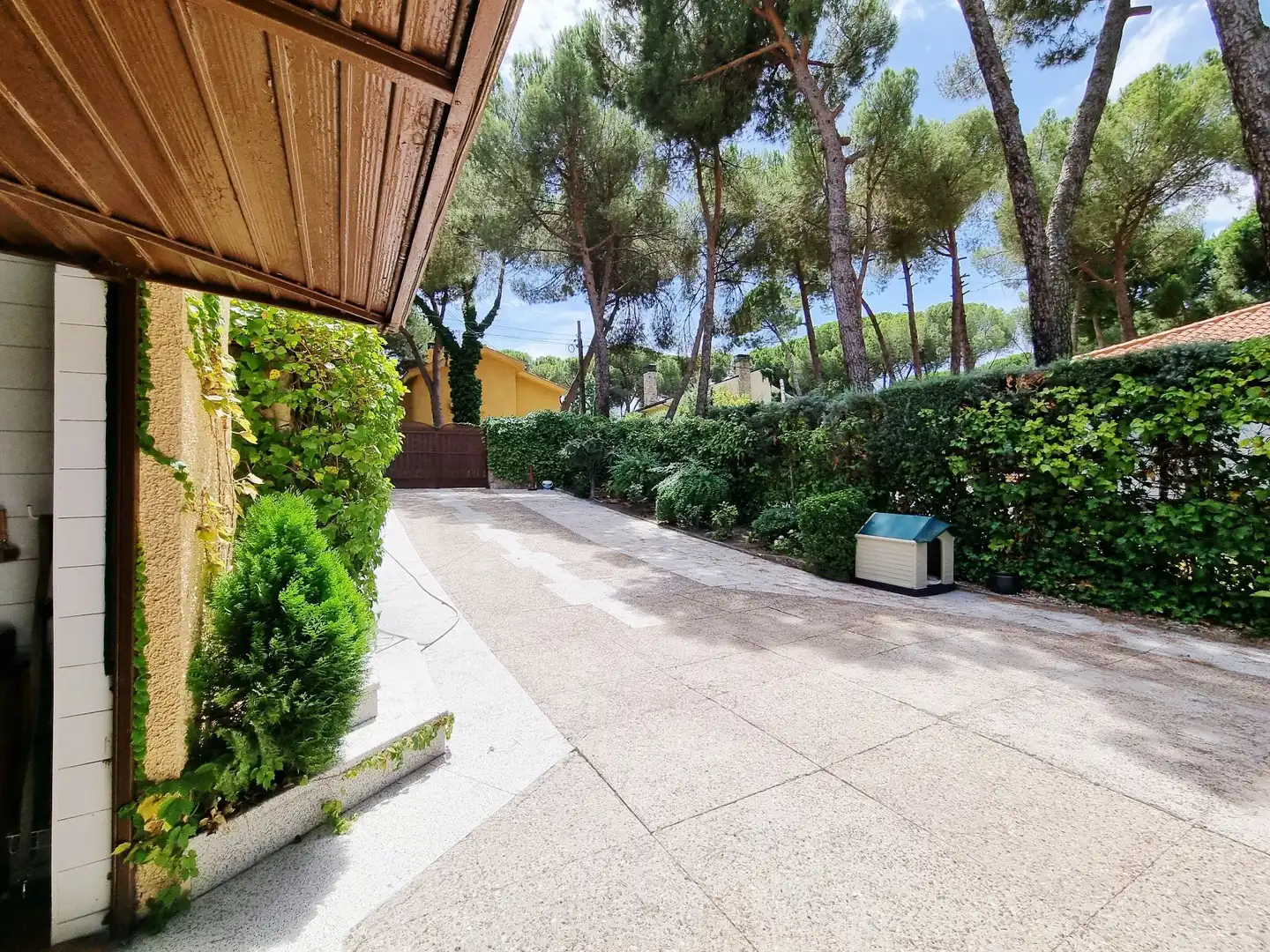 Jardí de Casa o xalet en venda en Boadilla del Monte amb Calefacció, Jardí privat i Terrassa