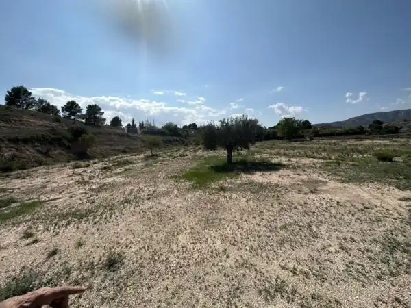 Rustikales Grundstück zum Verkauf in Monóvar  / Monòver, imagen 12