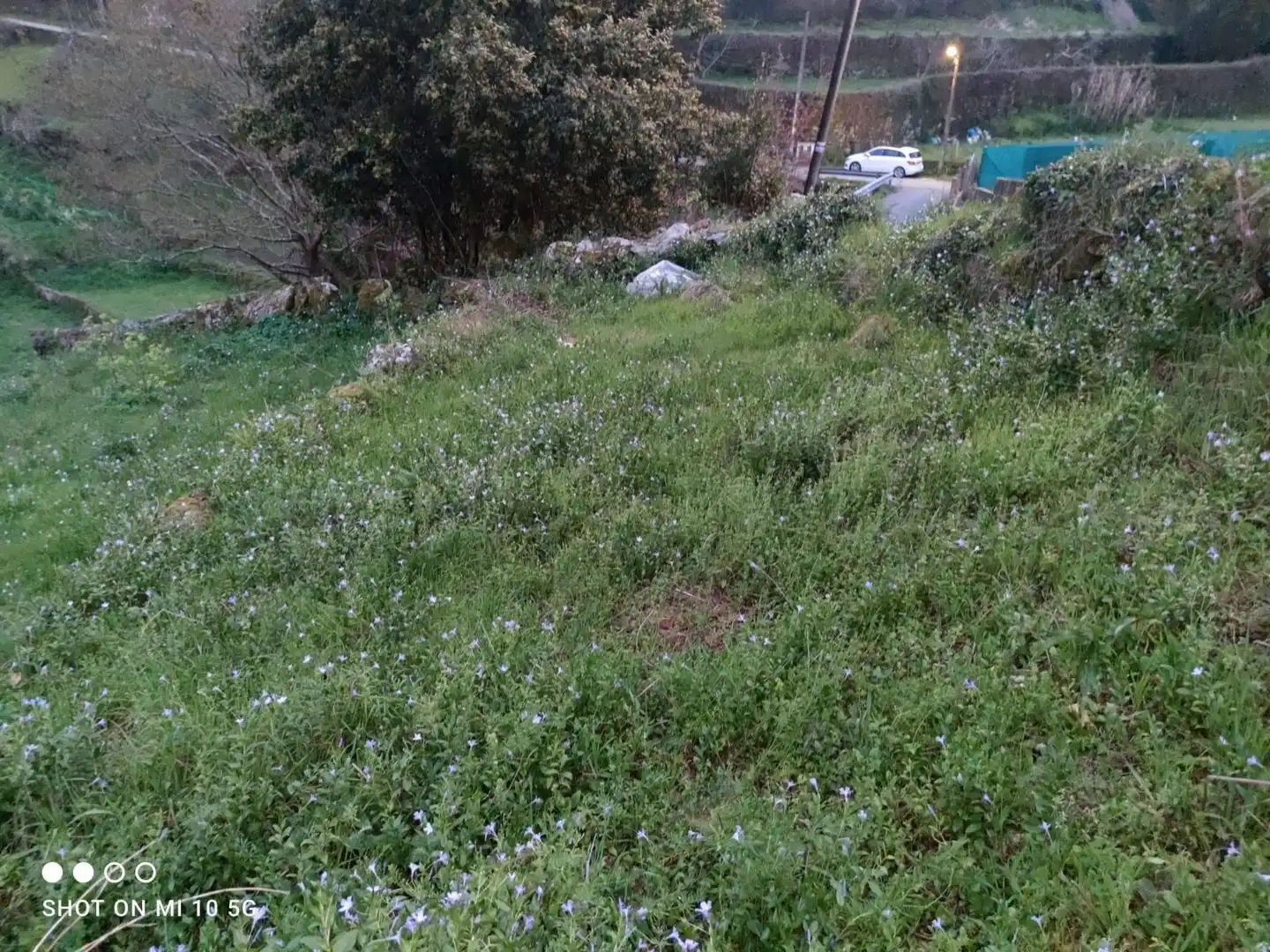Lands and plots for sale in Soutomaior, imagen 4