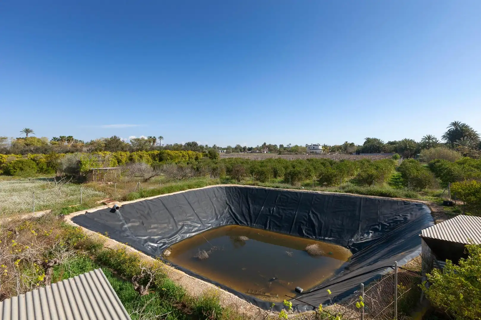 Piscina de Casa o chalet en venta en Elche / Elx