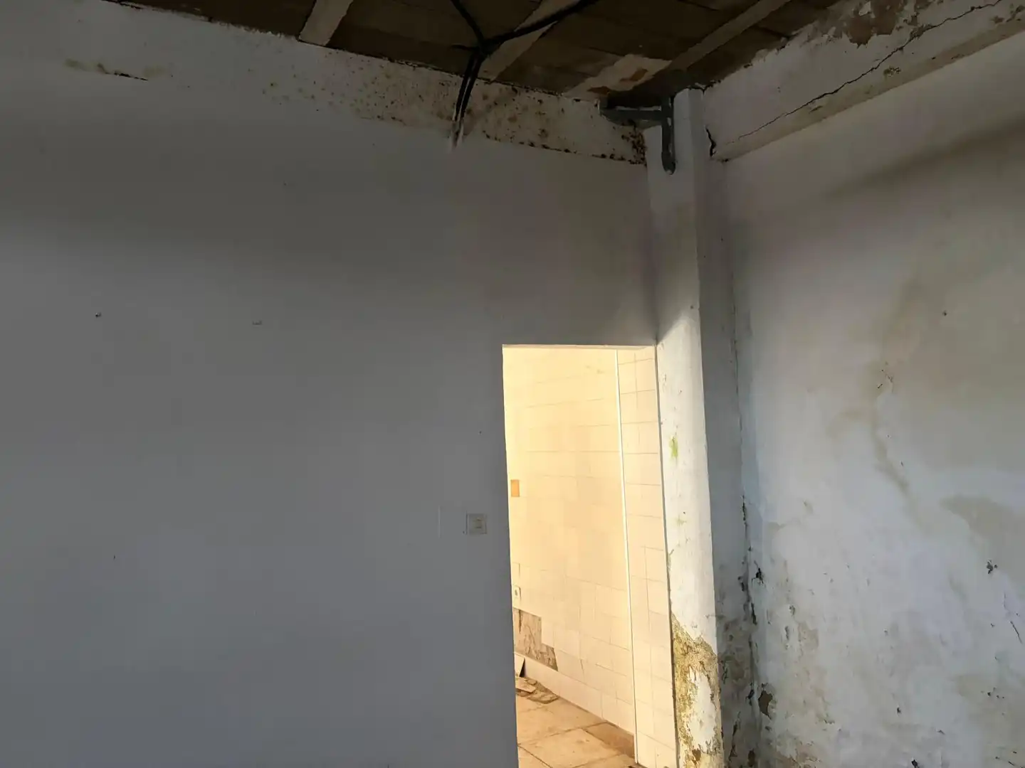 Gewerbefläche zum Verkauf in Ctra Sanlúcar - Cuatro Pinos, imagen 8