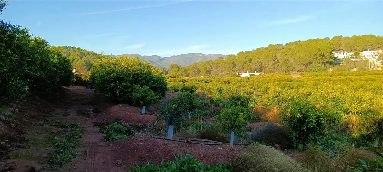 Garden of Land for sale in Torres Torres