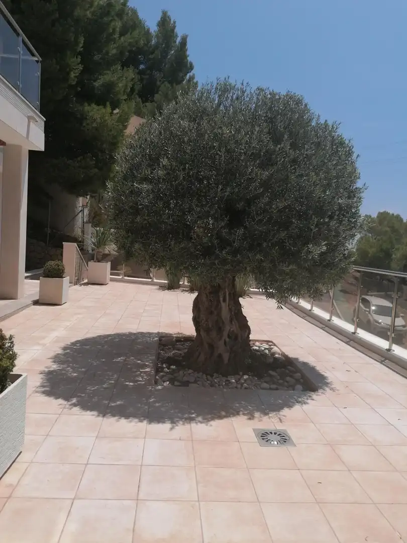 Villa mit Pool zum Verkauf in Calle ITALIA-A.H., imagen 63