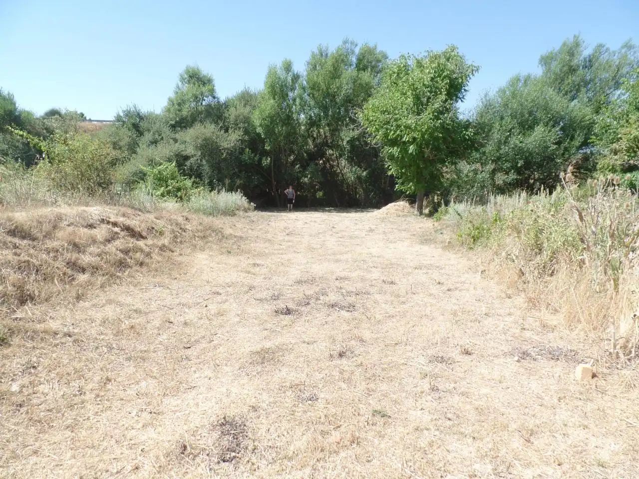 Terreni e lotti in vendita a Calle Poligono 3 Parcela, imagen 2