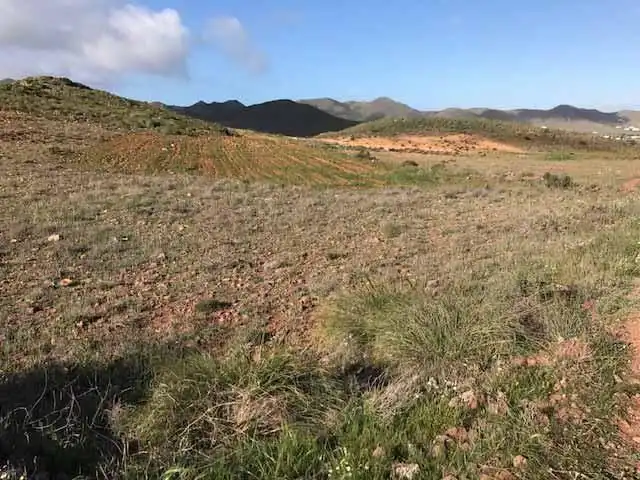 Terrain rustique à vendre à Níjar pueblo, imagen 3