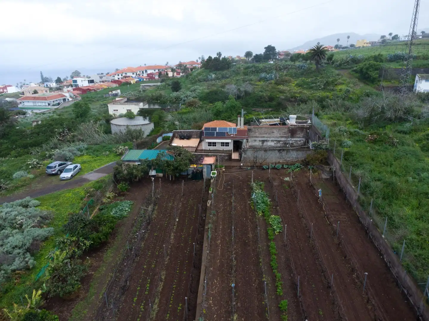 Jardín de Finca rústica en venta en El Sauzal